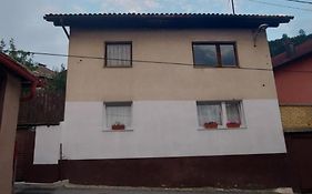 Apartman Paje